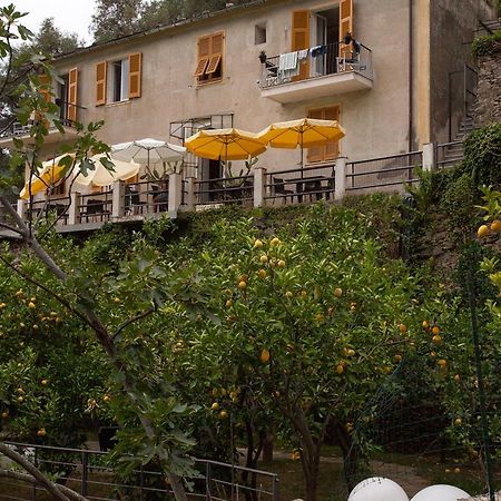 La Casa Dei Limoni Hotel Monterosso al Mare Kültér fotó