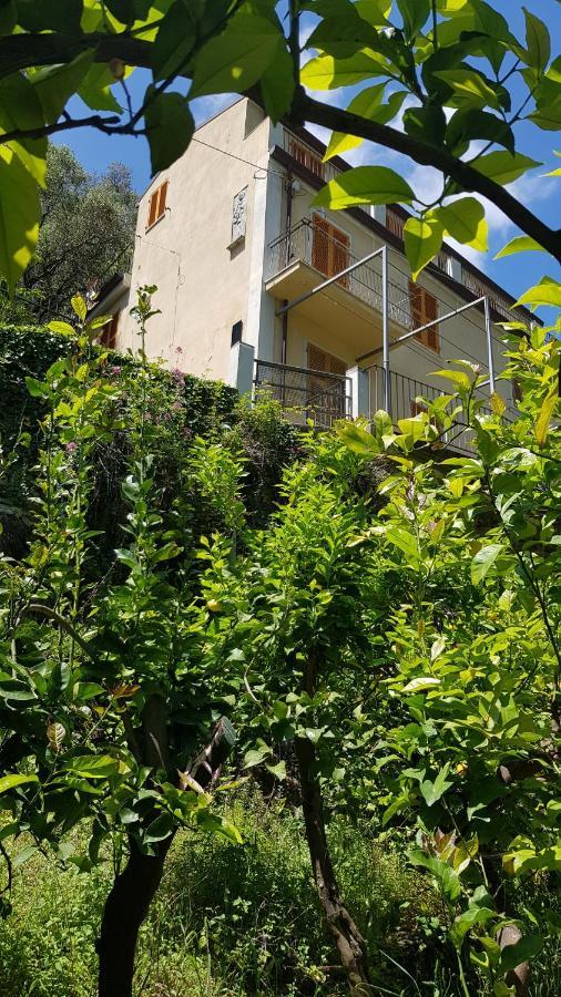 La Casa Dei Limoni Hotel Monterosso al Mare Kültér fotó