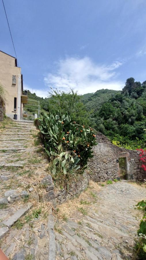 La Casa Dei Limoni Hotel Monterosso al Mare Kültér fotó